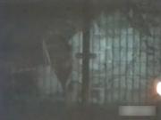 image hosted at ImgDrive.net