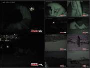 image hosted at ImgDrive.net