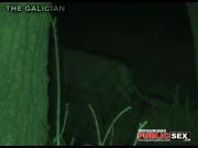 image hosted at ImgDrive.net