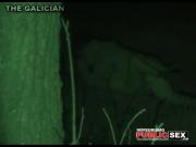 image hosted at ImgDrive.net