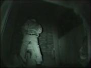 image hosted at ImgDrive.net