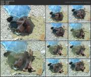 image hosted at ImgDrive.net