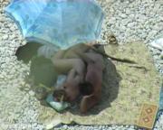 image hosted at ImgDrive.net