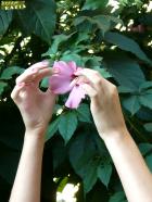 [Image: 6925bb4be2cdb.jpg]