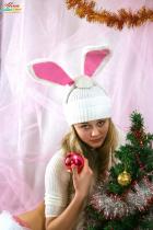 [Image: 69260be90c00b.jpg]