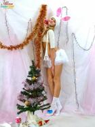 [Image: 69260c154813a.jpg]