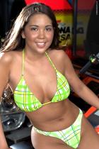 [Image: 69262da4d474e.jpg]