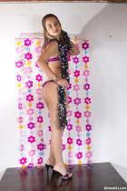 [Image: 6927af468064c.JPG]