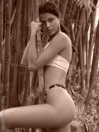 [Image: 6927ec112c0cb.jpg]