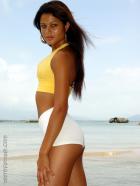 [Image: 6927ec7766add.jpg]