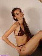 [Image: 6928e0529d44d.jpg]