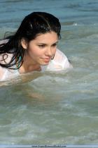 [Image: 6929086a15b27.jpg]