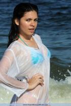 [Image: 6929086d0885c.jpg]