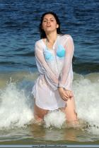 [Image: 692908719dae0.jpg]