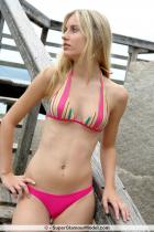 [Image: 692925f104265.jpg]