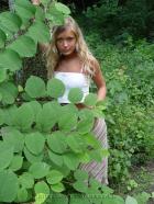 [Image: 692a43bdd2cd7.jpg]