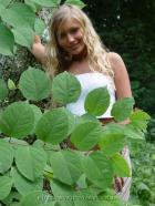 [Image: 692a43bf1ace5.jpg]