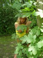 [Image: 692a443fbd057.jpg]