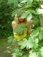 [Image: 692a444010206.jpg]