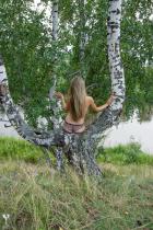 [Image: 692e04df58e3a.JPG]