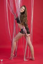 [Image: 692e849760edb.jpg]