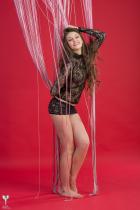 [Image: 692e84fee8f75.jpg]