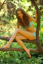 [Image: 6930571ba2c83.jpg]