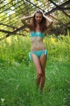 [Image: 693057291aae2.jpg]