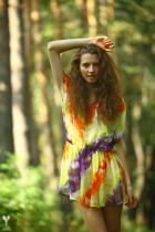 [Image: 69305d0b4b189.jpg]