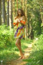 [Image: 69305d0dd7d34.jpg]