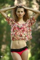 [Image: 69305e52ad7cf.jpg]