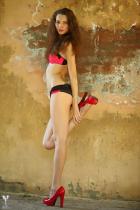 [Image: 69305e8171dff.jpg]