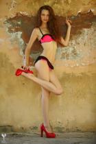 [Image: 69305e841bceb.jpg]