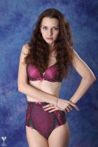 [Image: 69306ef7b5ebe.jpg]