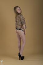 [Image: 6930ca222c32d.jpg]