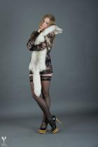 [Image: 6930e4852cfe8.jpg]