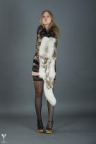 [Image: 6930e49253669.jpg]