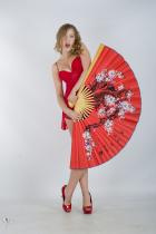 [Image: 69310af566724.jpg]