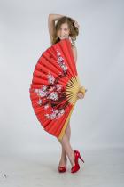 [Image: 69310b2b34693.jpg]