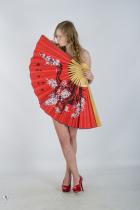 [Image: 69310b3ae409a.jpg]