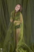 [Image: 6931acc5cc49e.jpg]