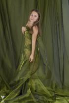 [Image: 6931acce3a97b.jpg]