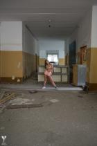 [Image: 6932198cd32eb.jpg]