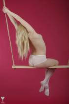 [Image: 6932552e9a2d4.jpg]