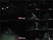 image hosted at ImgDrive.net