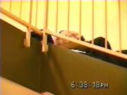 image hosted at ImgDrive.net