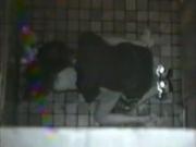 image hosted at ImgDrive.net