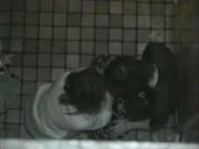 image hosted at ImgDrive.net