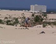 image hosted at ImgDrive.net