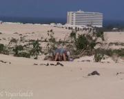 image hosted at ImgDrive.net